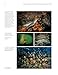 Reflections Underwater: A Multidisciplinary Exploration of Coral Reef Wonders