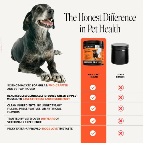 Image of Senior Hemp Hip and Joint Supplement for Dogs - Glucosamine Chondroitin, MSM & Green Lipped Mussel - Relief for Joint Stiffness, Advanced Strength Mobility Support for Senior Dogs (Chicken, 90 Ct)