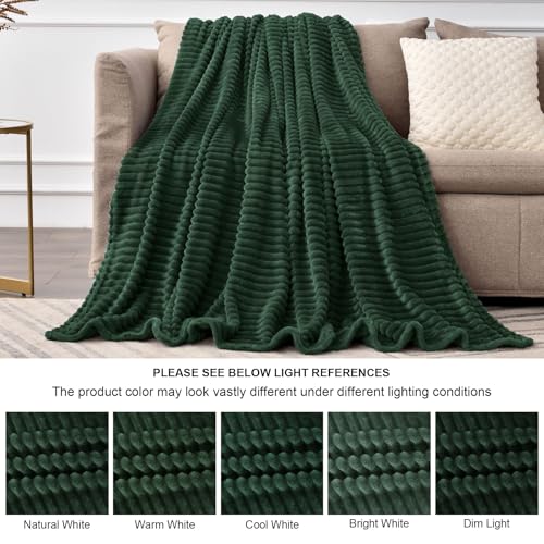 Image of BEDELITE Fleece Throw Blanket for Couch - 3D Ribbed Jacquard Soft and Warm Decorative Fuzzy Blanket - Cozy, Fluffy, Plush Lightweight Emerland Green Throw Blankets for Bed, Sofa, 50x60 inches