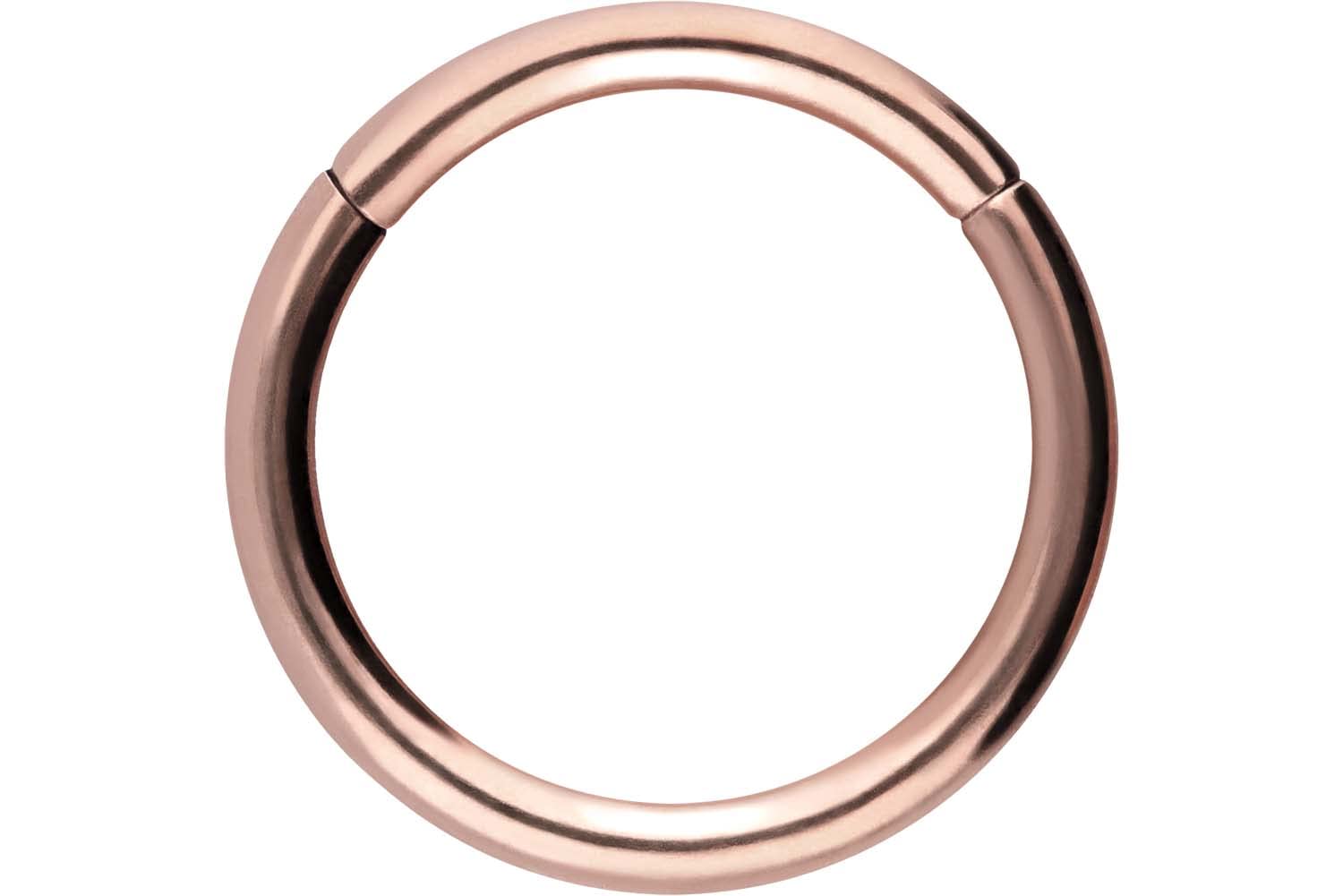 PIERCINGLINE Anillo segmento Clicker de acero quirúrgico – Piercing en oro, plata, rosa, negro o azul – para nariz, tabique, oreja, hélice o tragus — view 136