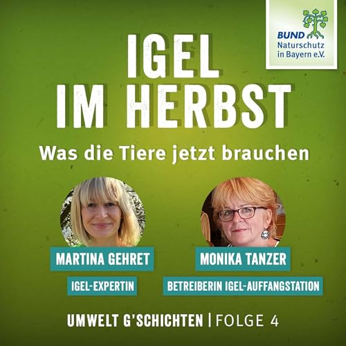 Stachelige Zeiten &ndash; wie der Igel ums &Uuml;berleben k&auml;mpft