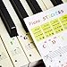 YOUYIKE Autocollants de Piano pour 37/49/61/88 Clavier,Piano Clavier Notes Transparent et Amovible,idéal pour Enfants et Débutants (La couleur)