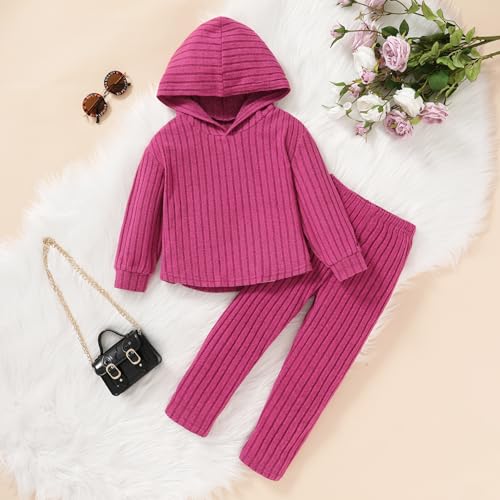 Image of Toddler Girl Fall Winter Outfit Set Stripe Solid Hoodie Pants Clothes Kids 2Pcs Sweatshirt Suit