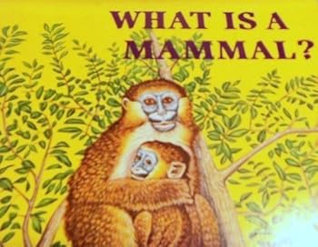 Paperback What is a Mammal? (A Child's Golden Science Book, 1975) Book