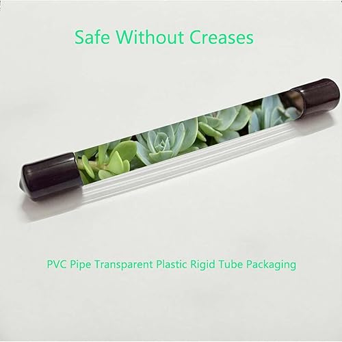 Miniatura 6 de Película de privacidad verde no adhesiva para ventana, película de vidrio estática, esmerilada, control de calor extraíble, anti UV, película