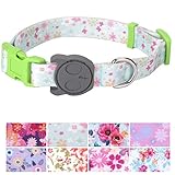  PetANTastic Verstellbares Hundehalsband, langlebig, weich und strapazierfähig, mit süßem Blumendesign, für drinnen und draußen, Komfortables Hundehalsband für Mädchen, Jungen, Welpen, Erwachsene