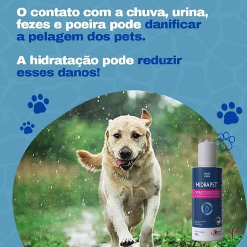 Kit Hidrapet Xampu 200ml + Hidrapet Creme 100ml Cães E Gatos