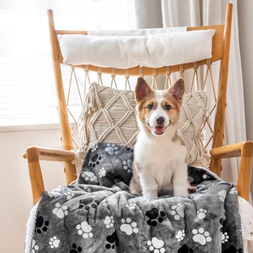 Waterproof Dog Blanket The 15 best products compared Wild Explained