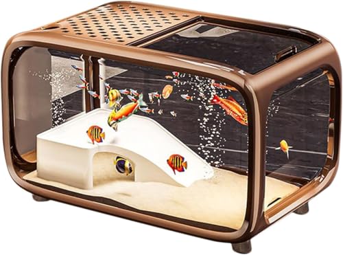 Citybaby WECp ߗ98% e ȃGl Jo[t ȒP at ԊϏ |[^u ʋCEt ʊώ@ A͔| ItBXEƒp (B)