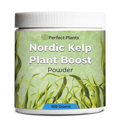 Fertilizante en polvo Nordic Kelp Plant Boost Perfect Plants miniatura 1