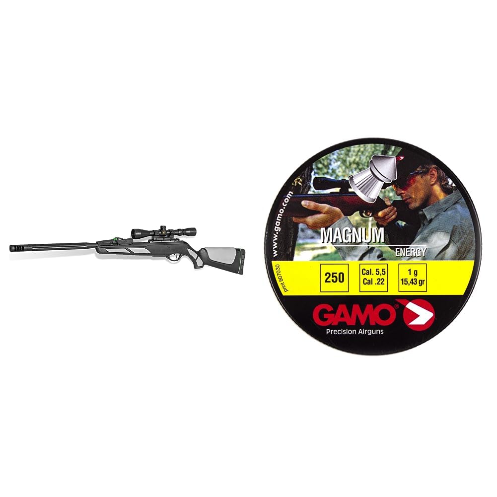 Gamo Swarm Viper 10X GEN3i .22 Cal. 10 Pellet Multi-Shot Inertia Fed Pellet Air Rifle and Gamo Magnum .22 Cal, 15.43 Grains, Pointed, 250ct