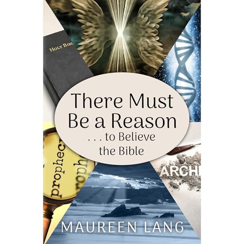 There Must Be a Reason by Maureen Lang episode artwork