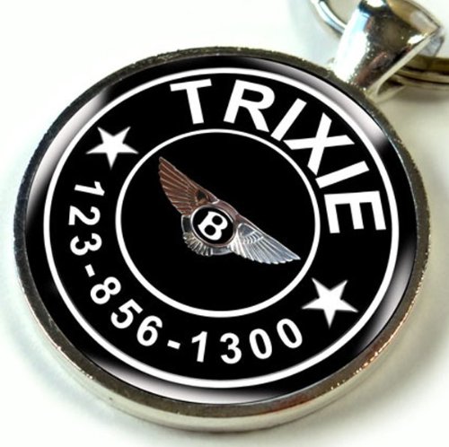 Dog and Cat Pet ID Tag Bentley Wings Car Emblem(Regular 1.00")