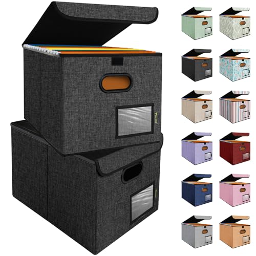 Baleine File Organizer Box With Lid, Collapsible File Folder Organizer With Plastic Slide cover