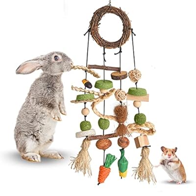 AYIYUN Bunny Chew Toys for Rabbits,Small Animals Teeth Care Pet Cage Entertainment Accessories Natural Grapevine Wreathes Rabbit Treats Chews for Bunnies Chinchilla,Guinea Pig,Hamster Toys Hanging