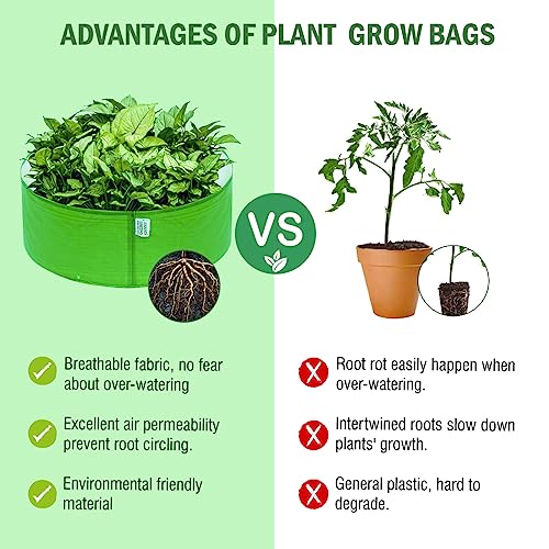 Image of Anandi Green's Premium HDPE Uv Protected 220 GSM Round Shaped Green Colour Plants Grow Bags Suitable for Terrace and Vegetable Gardening (Pack of 5, 24x9 INCH)