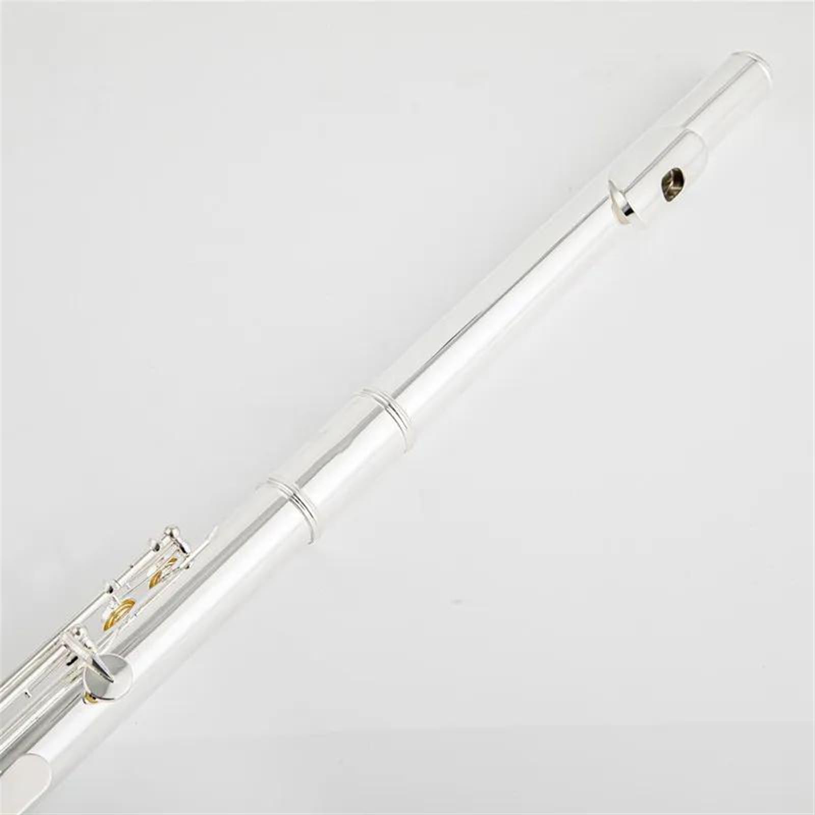 Profesional Flauta Travesera Boquilla Doble Flauta Alto Tono G Flauta De Llaves Chapadas En Plata Con Orificio Cerrado De 16 Orificios