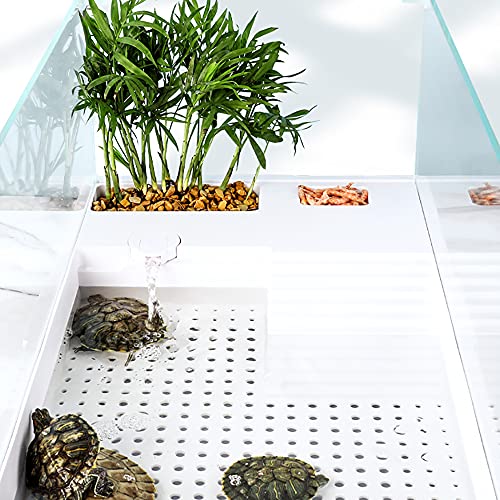 Reptielen Terrarium Kit Lang glazen reptielenterrarium Kweekbox Pet Feeding Box Little Animal Cage voor Spider Schildpad Slakken Hagedis Duizendpoot - Afbeelding 4