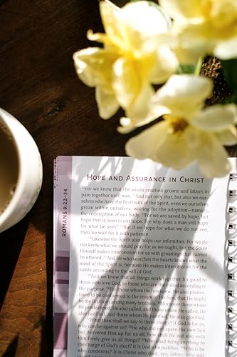 Romans: An All-In-One Study on Salvation and New Life (The Bible Study Collective) - image 6