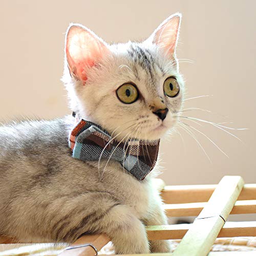 Image of Bowtie Cat Collars Breakaway with Bell, Adjustable Cute Kitty Collars Safety Buckle Kitten Collar for Cat Puppy 7.5-11in (14)