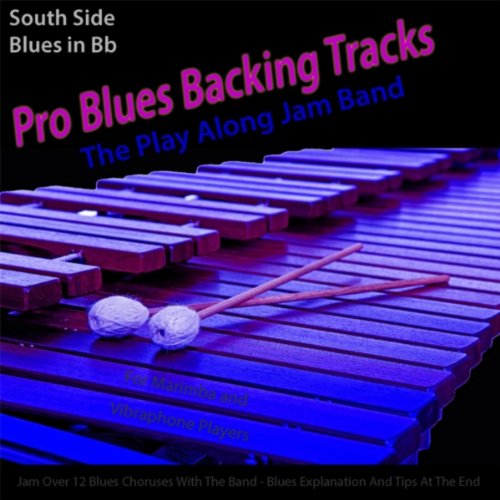 Pro Blues Backing Tracks (South Side Blues in Bb) [12 Blues