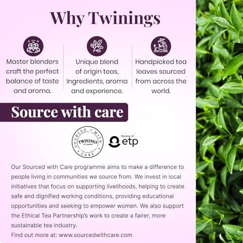 Image of Twinings Darjeeling Tea, 100 Teabags|Pack of 1| Premium Black Tea| Light Strength| From Darjeeling's Finest Estates| Light & Delicate Flavour| Handpicked Leaves| Enjoy a Hot Cup of Tea