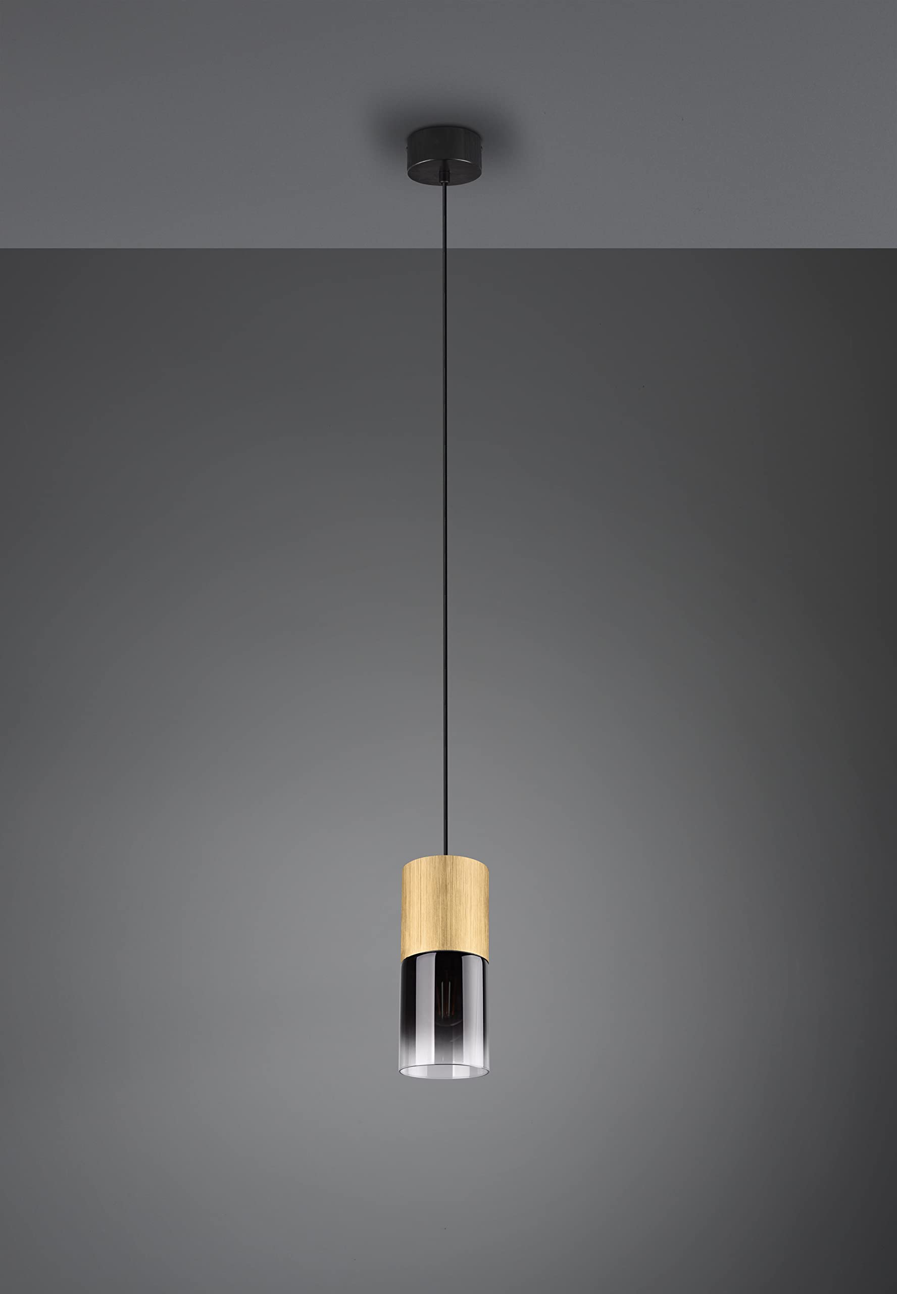 Trio Leuchten Lampa wisząca Robin 310600154, metal mosiądz matowy, szkło w kolorze przydymionym, ekskluzywna 1 x E27