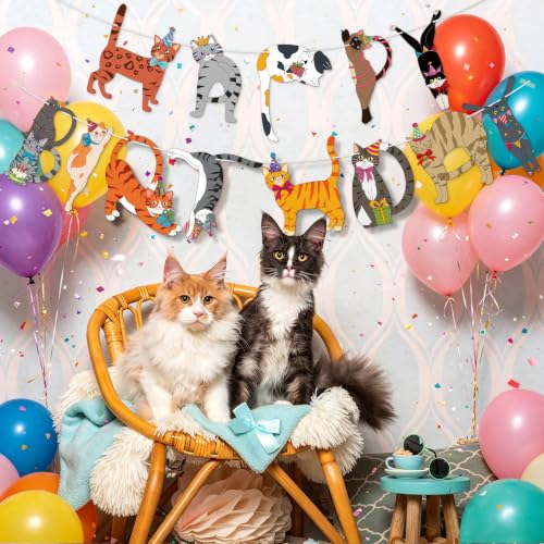 Image of Hooqict Happy Birthday Banner Cat Birthday Party Banner Decorations Garland Sign for Kids Adults Funny Cat Themed Birthday Party Decorations Supplies