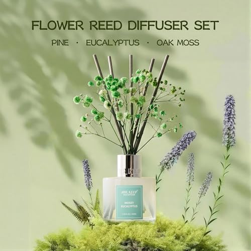 Image of Airkeep Reed Diffuser Set,3.38 fl oz (100 ml) - Moss Eucalyptus Oil Diffusers with 8 Reed Sticks, Home Fragrance Reed Diffuser for Bathroom Shelf Decor