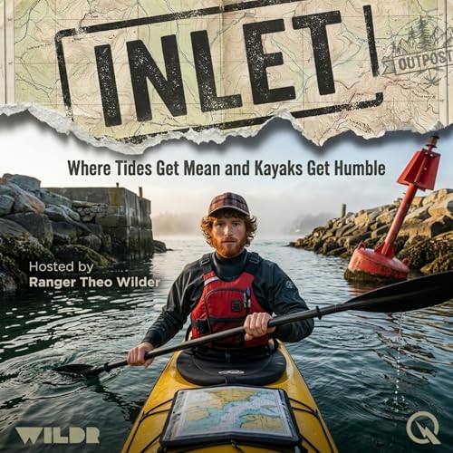 Inlet copertina
