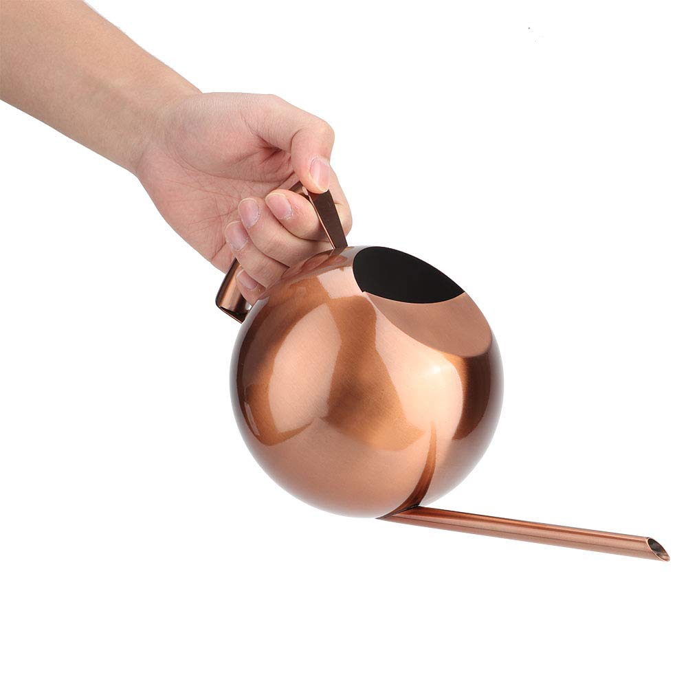 Arrosoir 1L en Métal, Acier Inoxydable Or Rosé à Long Bec, pour Plantes d'Intérieur, Design Moderne pour Balcon, Terrasse et Intérieur, Facile à Nettoyer
