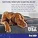 Pet MD Dog Paw Balm - 3-in-1 Paw, Nose/Snout, & Elbow Moisturizer & Paw Protectors for Dogs - 2 oz Paw Wax with Shea Butter, Coconut Oil, & Beeswax