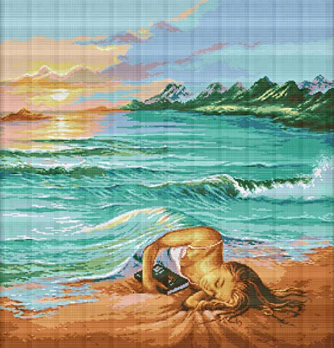 Point de croix pré-imprimé kit broderie débutant motif musique tambour avec fil couleur 40x50