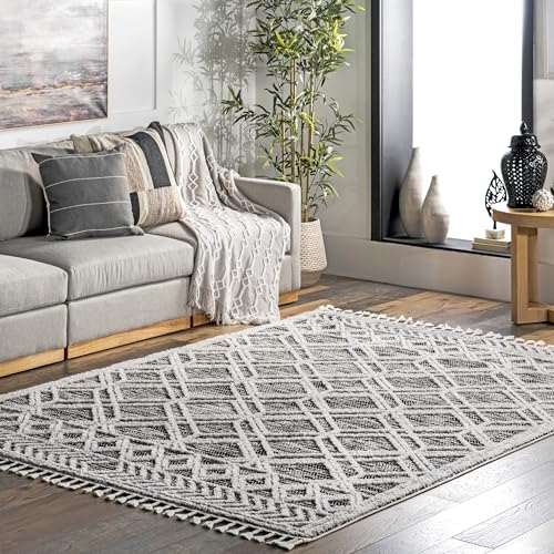 nuLOOM 4x6 Ansley Moroccan Tassel Area Rug, Grey, High-Low Textured Bohemian Design, Plush High Pile, Stain Resistant, For Bedroom, Living Room, Hallway, Entryway