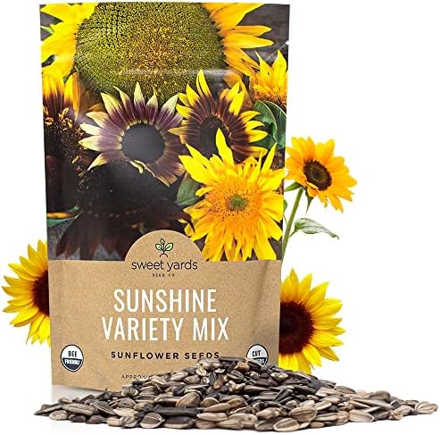 Bulk Sunflower Seeds - Variety Mix 10 Types of Beautiful Sunflowers - 1/4 Pound Bag Open Pollinated Sunflower Seeds for Planting
