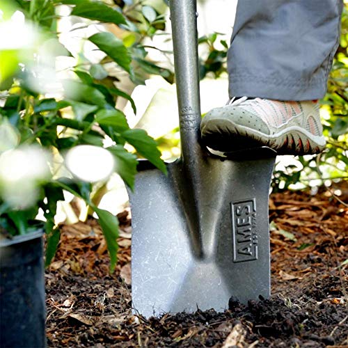 Ames 2593800 Tempered Steel Garden Spade With Hardwood Handle And D-Grip, 43-Inch #TOP3