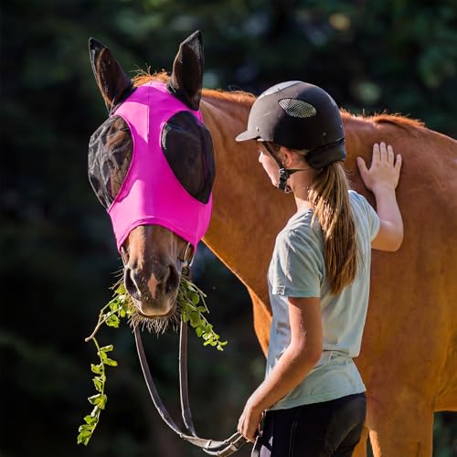 Image of Frienda 4 Pcs Horse Fly Masks with Ears UV Protection Elastic Horse Mask Breathable Comfortable Fly Mask for Adult Horses, Protect from Summer Insect(Large,Rose Red, Royal Blue, Orange, Light Pink)