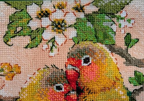 Image of RIOLIS - Lovebirds 1780, Cross Stitch Kits 7 inchx7, Cross Stitch Kits for Beginners & Advanced, Crossstitching Kit Adult, Embroidery Counted Stitching Kit