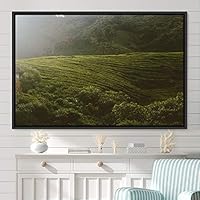 Framed Canvas Wall Art Greenlands Aerial Dark Farmhouse/Country Green Nature Photography Realism Relax/Calm - 16x24 inches