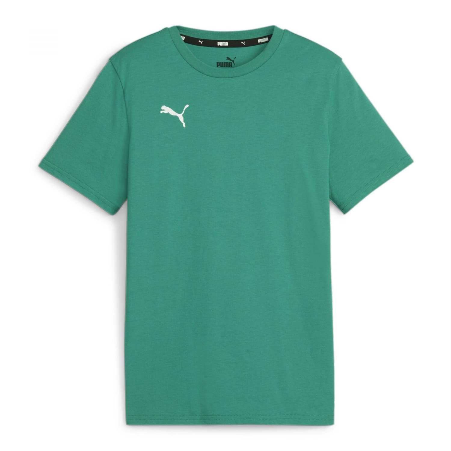 PUMA Unisex Teamgoal Casuals Jr Tee, Sport Green-puma White, 140 EU