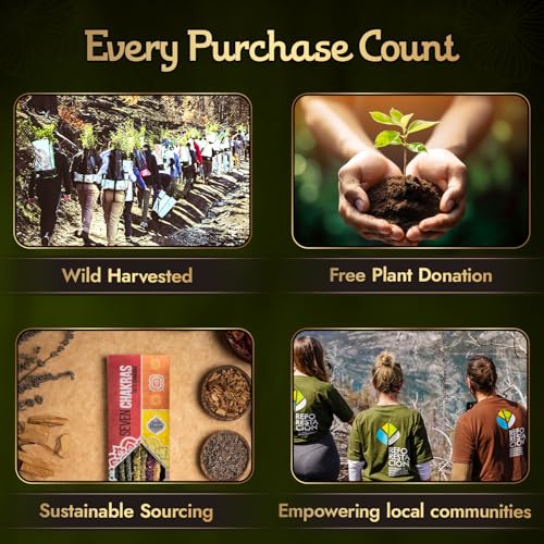 7 Chakra Incense Sticks by Sagrada Madre, 7 Count, 9" Long - Palo Santo Chakra Alignment & Meditation Incense with Copal, Lavender & Sandalwood for Spiritual Healing & Energy Balance - 1 Hour Burn - Image 8