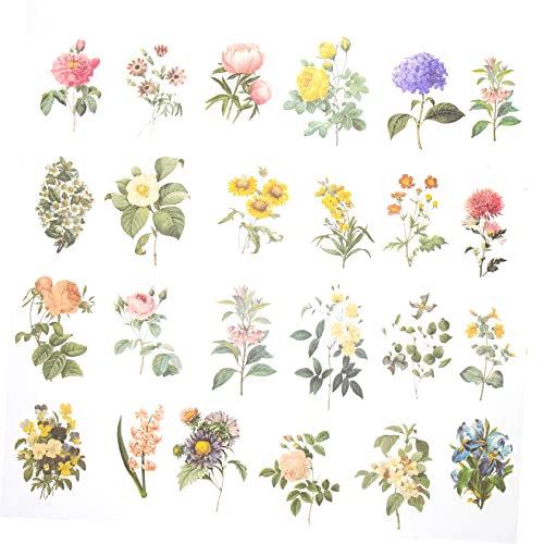 Cemaystic 蒠pgt[XebJ[2Zbg ? A[gfR[VɎgԕV[ gpŔɂ