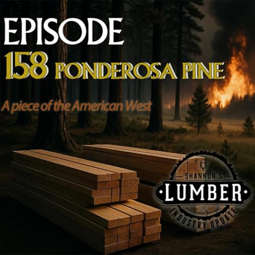 LU158 Ponderosa