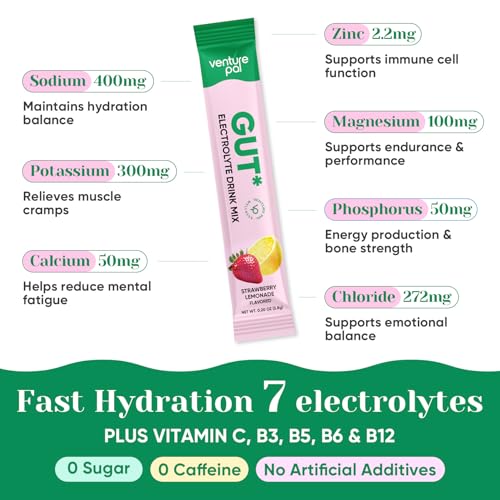 Image of Venture Pal Sugar Free Hydration Packets + Gut Health Electrolytes Powder