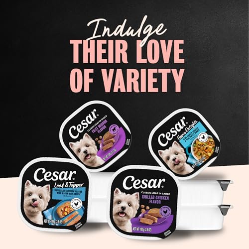 Cesar Wet Dog Food, Steak & Chicken Lovers Variety Pack, 3.5 oz, 36 Count - image 6