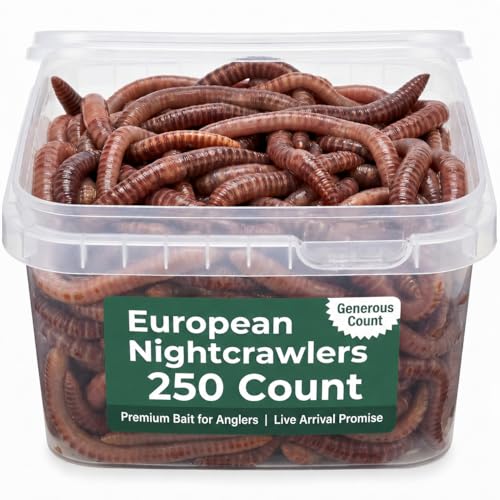 BESTBAIT 150 Count Super Red European Nightcrawlers for Composting and Garden Soil Aeration Large Nightcrawlers Improve Soil Structure and Quality for Healthier Gardens