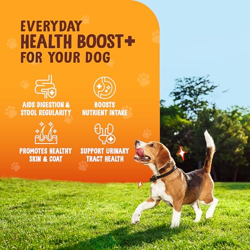 Image of Pumpkin Powder for Dogs - High Fiber Digestive Support with Pumpkin & Sweet Potato - Relieves Diarrhea, Constipation, Upset Stomach - Food Topper or Mix with Water - 8 oz