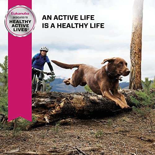 Eukanuba Adult Large Breed Dry Dog Food, 30 lb Bag image 9