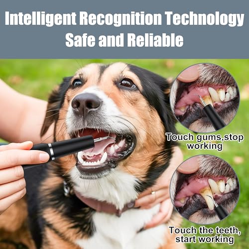 Image of Dog Plaque Tartar Remover for Teeth - Electric Pet Toothbrush with 2 Replacement Cleaning Heads, Adjustable 3 Modes Dog Toothbrush Teeth Cleaning Kit for Pet Cat (Black)