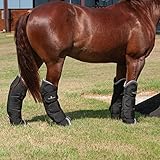 Classic Equine Shipping Boots, Black, Medium